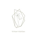 Vitrayverteks