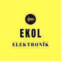 EKOLELKTRNK