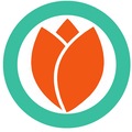 kütahyadanevinize