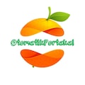 OtomatikPortakal