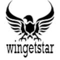 WİNGETSTAR
