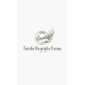 TarihiBeyoğluFırını