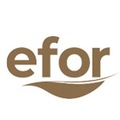 EFORÇAY