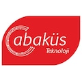 abaküsbilgitek