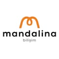 mandalinabilişim