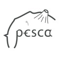 Pesca