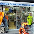 gumusolta2929