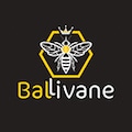 Ballivane