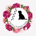 petlovebutik1