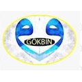 Gökbin