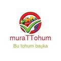 murattohum