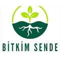 Bitkimsende