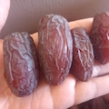 SASHO