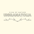 EuphoriaTR