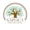 KaplıcaFidancılık