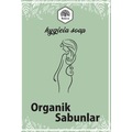 organikelyapımısabun