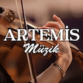 ArtemisMuzik