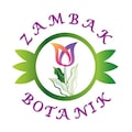 ZambakBotanik