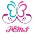 PEMS