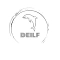 Deilfboards