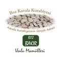 BozBakır