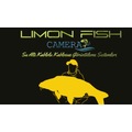 LİMONFİSH