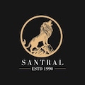 santralyangin