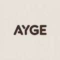 AYGEmobilyaaksesuar