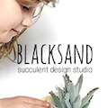 BlacksandSucculent