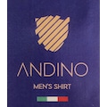 ANDINO