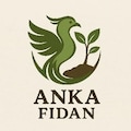 AnkaFidann
