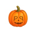 PPKin