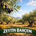 ZEYTİN.BAHÇEM