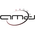 AMDGROUP