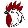 ÖztürkPiliç