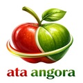 Ata_Angora_Organik
