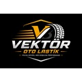 VEKTÖROTOLASTİK