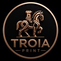 3DTROİAPRİNT