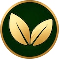 Sifaci11