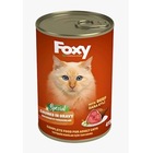 Foxy Kedi Mamasi Yetiskin Ve Yavru Kedi Mamasi N11 Com