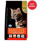 Matisse Kedi Mamasi Yetiskin Ve Yavru Kedi Mamasi N11 Com