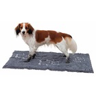 Kopek Pedi Tasima Altliklari Kopek Kulodu N11 Com Kopek Pedi Tasima Altliklari Kopek Kulodu N11 Com