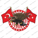 Kartal Türk Bayrağı Ay Yıldız Sticker 00943