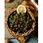 9 Adet Gemlik Trilye Zeytin Fidanı Tüplü 2 Yaş