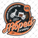 Vsp24 Moped Motors Sticker