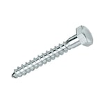 Çankaya Trifon Vida Adetli Ölçülü M10x80 2 Adet 1