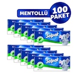 Selpak® Mentollü Mendil 10'lu 10 Paket