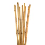 20 Adet Bambu Bitki Fidan Destek Çubuğu 1 Metre