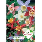 Yer Küpelisi Çiçeği Tohumu 100 Adet Tohum N113746