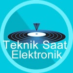 TSElektronik